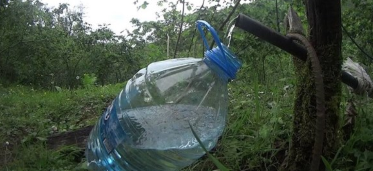 Sağlıklı Bir İnsanın Günlük Su Tüketimi