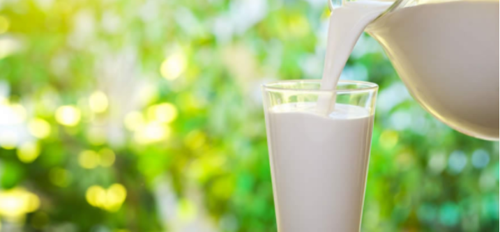 Süt Ürünlerinin Evde Saklanması ve Kullanımı