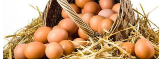 Yumurta Tüketiminde Nelere Dikkat Edilmeli?
